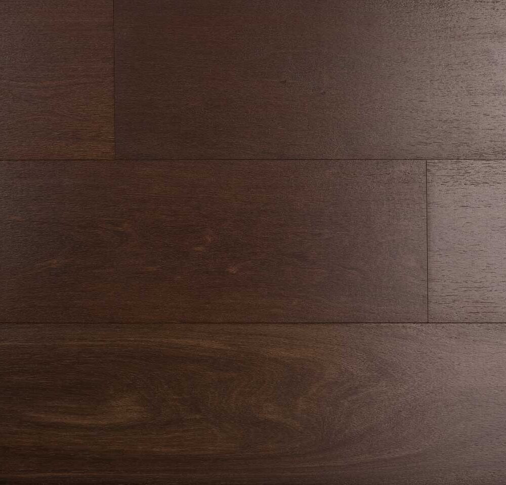 Brazilian Chestnut Vatican